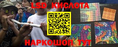 a pvp Новодвинск