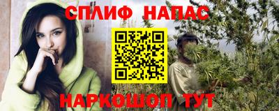 a pvp Новодвинск