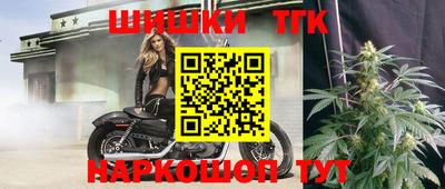 ECSTASY Новозыбков