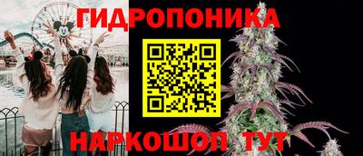 a pvp Новодвинск