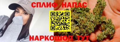 ECSTASY Новозыбков