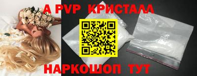 ECSTASY Новозыбков