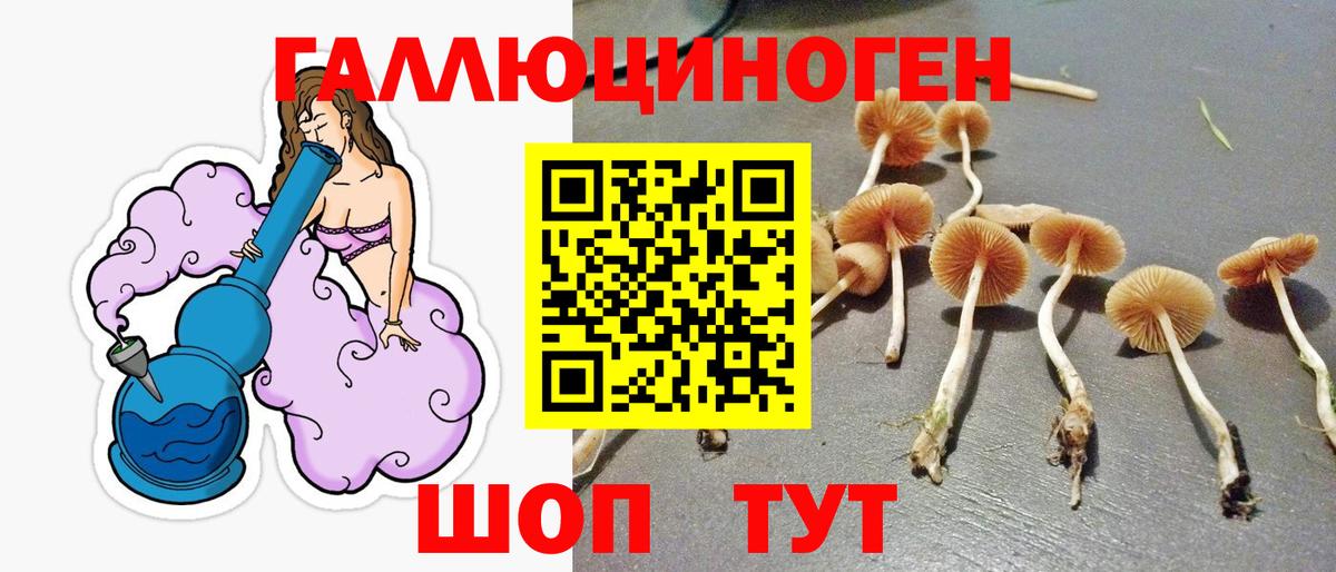 Галлюциногенные грибы Cubensis Тимашёвск